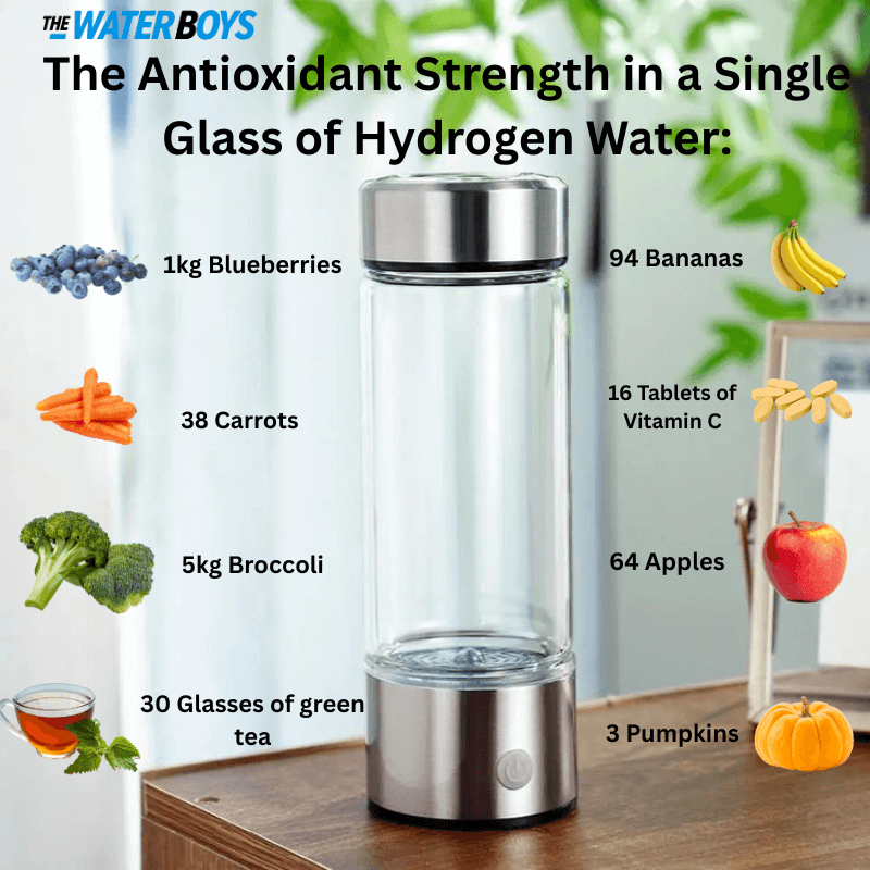 The Water-boys™ Hydrogen Water Bottle